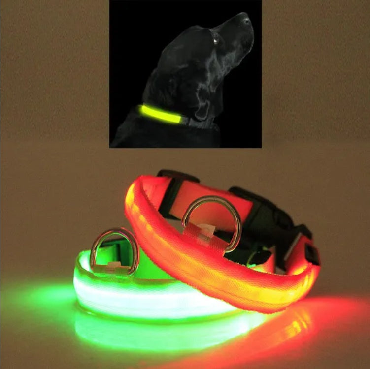 USB Rechargeable Glowing Dog Collar for Night Walking Safe LED Pet Collar