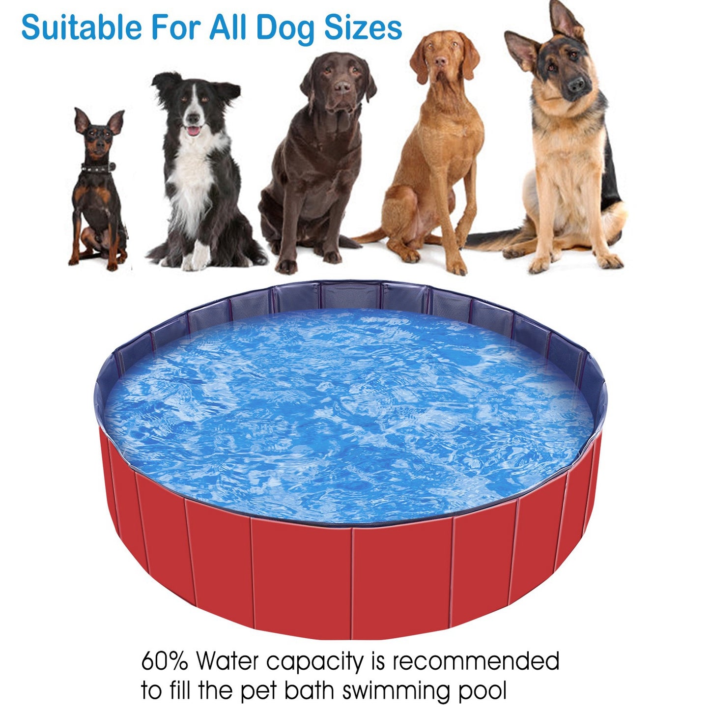 Foldable Pet Swimming Pool – 63"x63"x11.8" PVC Dog & Cat Bathing Tub, Outdoor/Indoor Play Pool