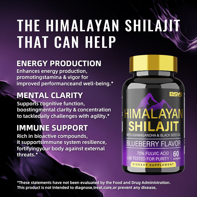 BSYS Shilajit Gummies 60’s – Natural Energy, Stamina & Vitality Support Supplement