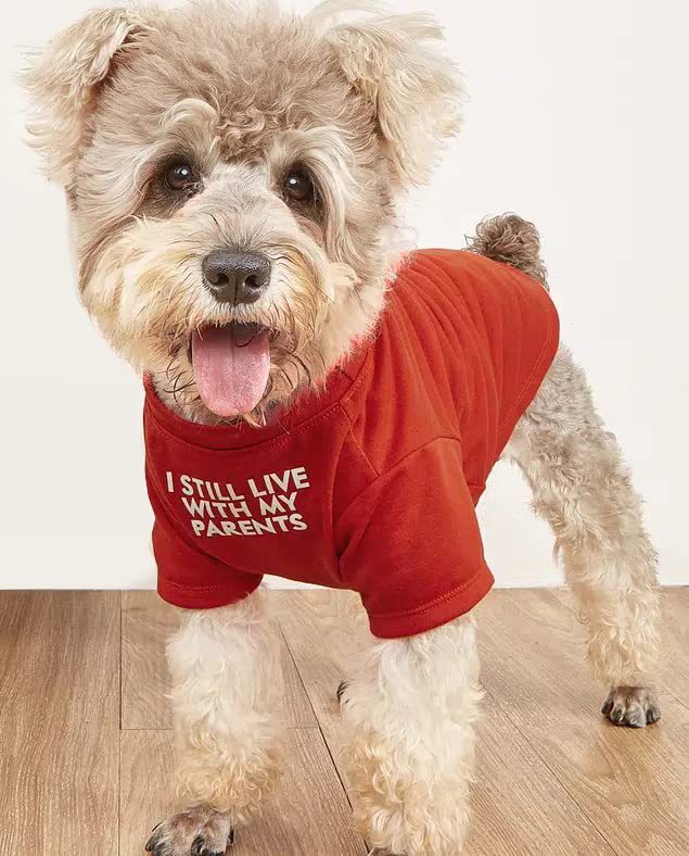 Pet T-Shirt – Round Neck Casual Tee for Dogs & Cats