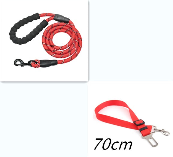 Reflective Nylon Dog Leash for Small, Medium & Large Dogs – Durable Training & Walking Lead
