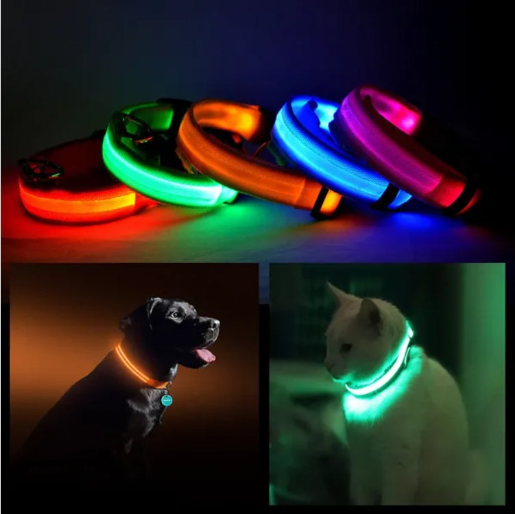 USB Rechargeable Glowing Dog Collar for Night Walking Safe LED Pet Collar