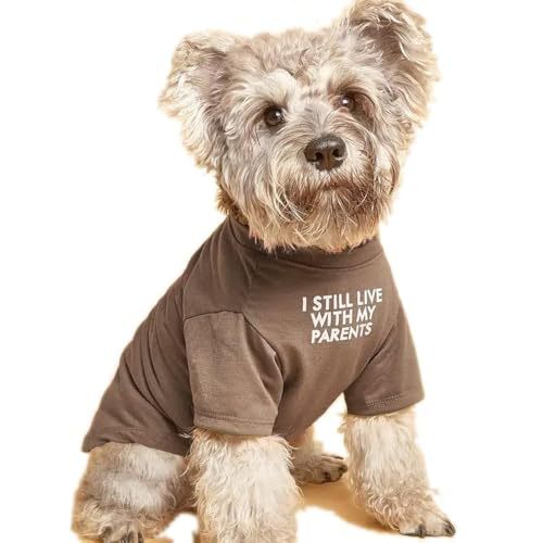 Pet T-Shirt – Round Neck Casual Tee for Dogs & Cats