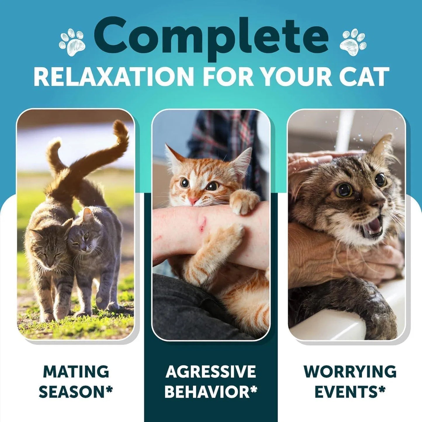Hemp Cat Calming Treats – Stress & Anxiety Relief for Cats & Kittens with Melatonin