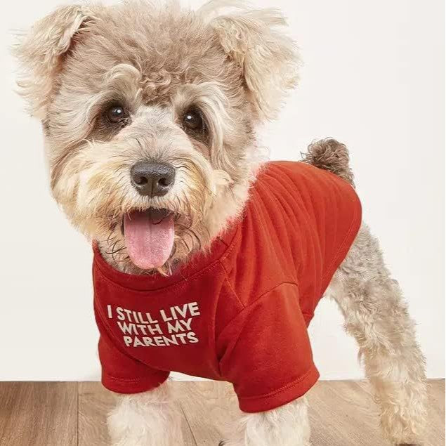 Pet T-Shirt – Round Neck Casual Tee for Dogs & Cats