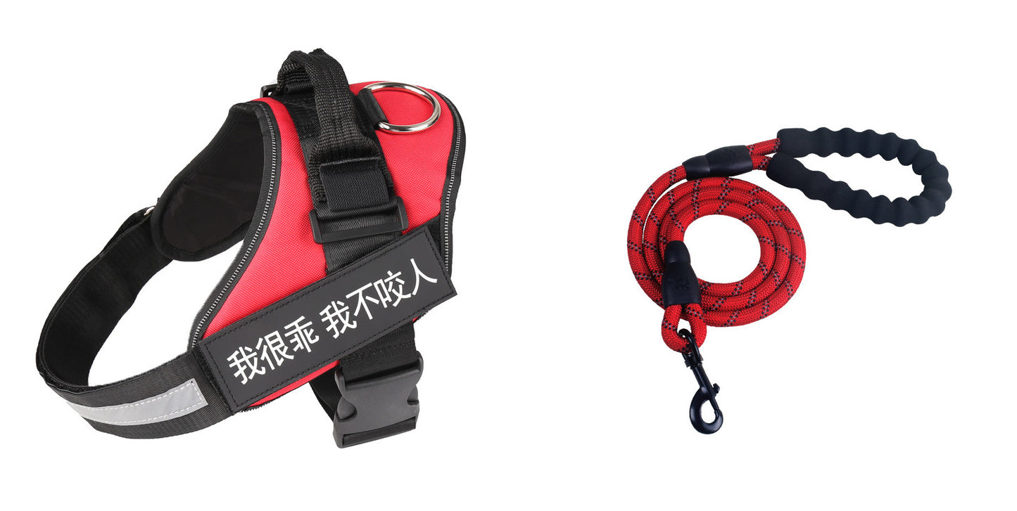 Fashion Pet Leash & Chest Harness Set – Adjustable Dog Walking Gear