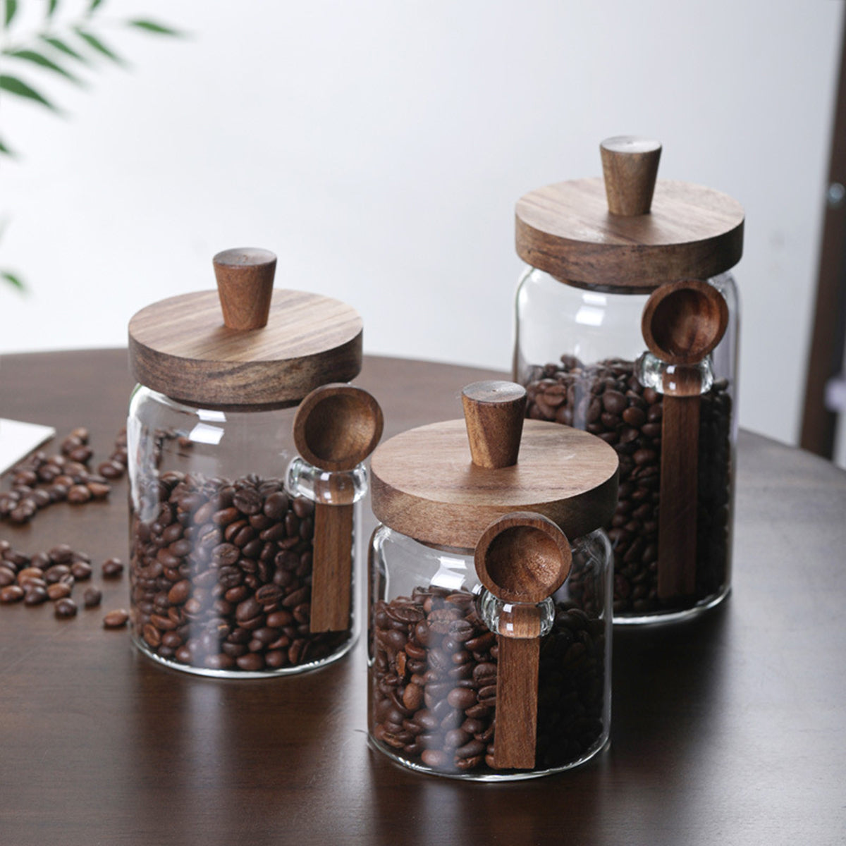 3PCS Glass Coffee Jars with Spoons – Tea, Candy & Biscuit Storage Containers Set