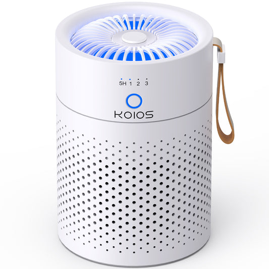 H13 True HEPA Air Purifier Quiet Portable Home & Office