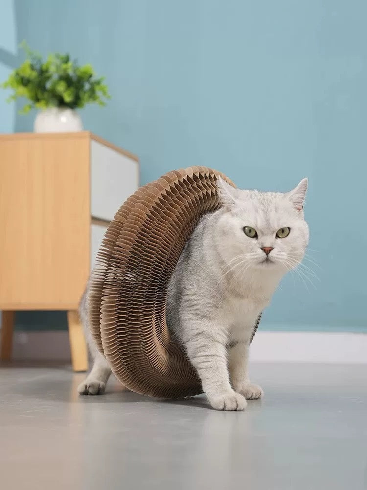 Foldable Cat Scratcher Toy – Interactive, Space-Saving Cat Play & Scratch Board