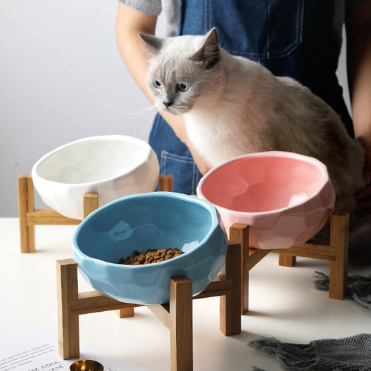 Oblique Mouth Pet Food Bowl – Anti-Spill Slanted Feeding Bowl for Cats & Dogs