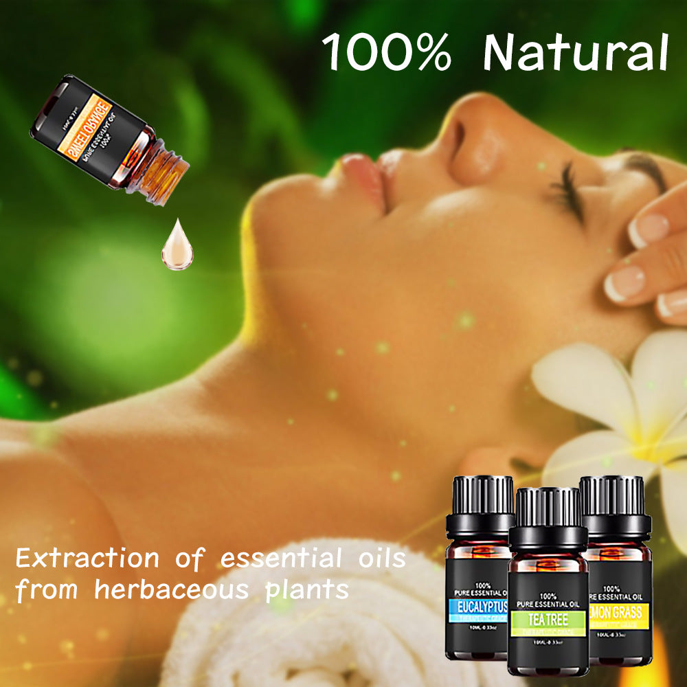 Organic Essential Oils Gift Set – Natural Therapeutic Grade Aromatherapy Oils for Diffusers