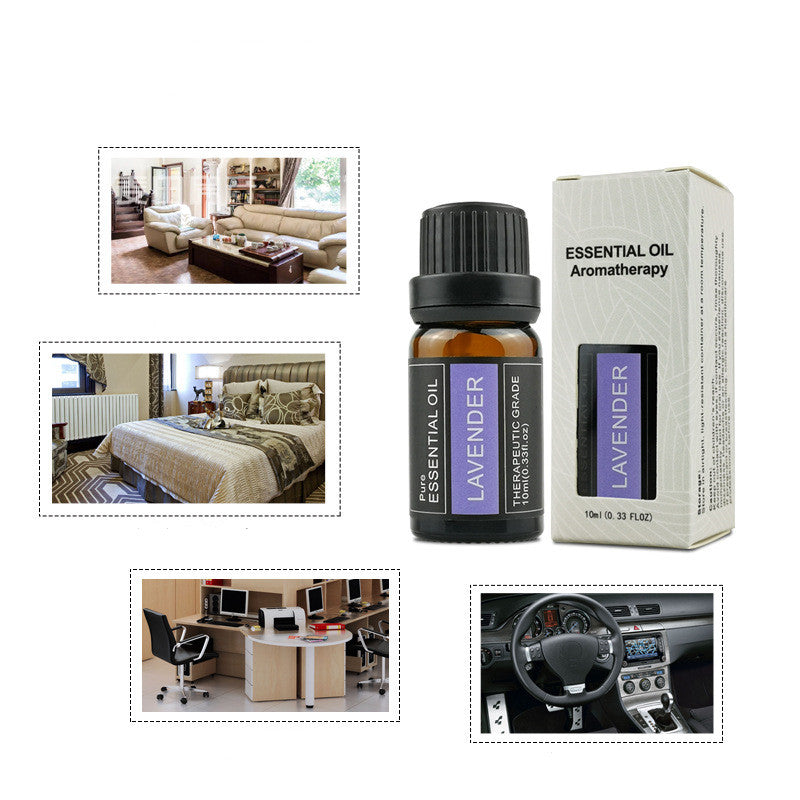 Ginger & Wormwood Aromatherapy Candle with Rose Sandalwood Essential Oil – Single Plant Fragrant Candle in Gift Box
