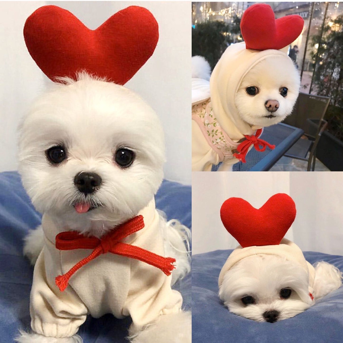 Cute Fruit-Themed Hoodie for Small Dogs – Warm Fleece Winter Coat for Puppies & Cats, Perfect for French Bulldogs & Chihuahuas