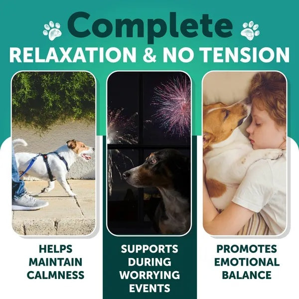 Hemp Calming Chews for Dogs – Anxiety Relief & Joint Support with Hemp Oil, Turmeric, Valerian & Ginger – 120 Soft Treats