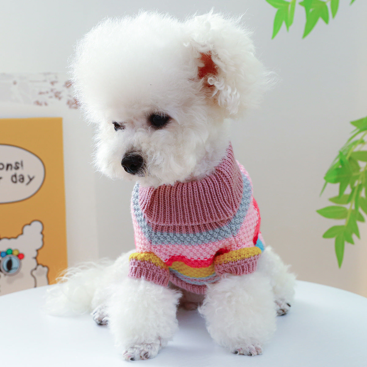 Colorful Striped Pet Sweater – Cozy & Comfortable Knit for Dogs & Cats