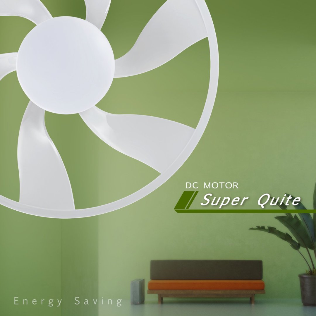 Light Pro 22-Inch LED Smart Ceiling Fan Matte White DC Motor