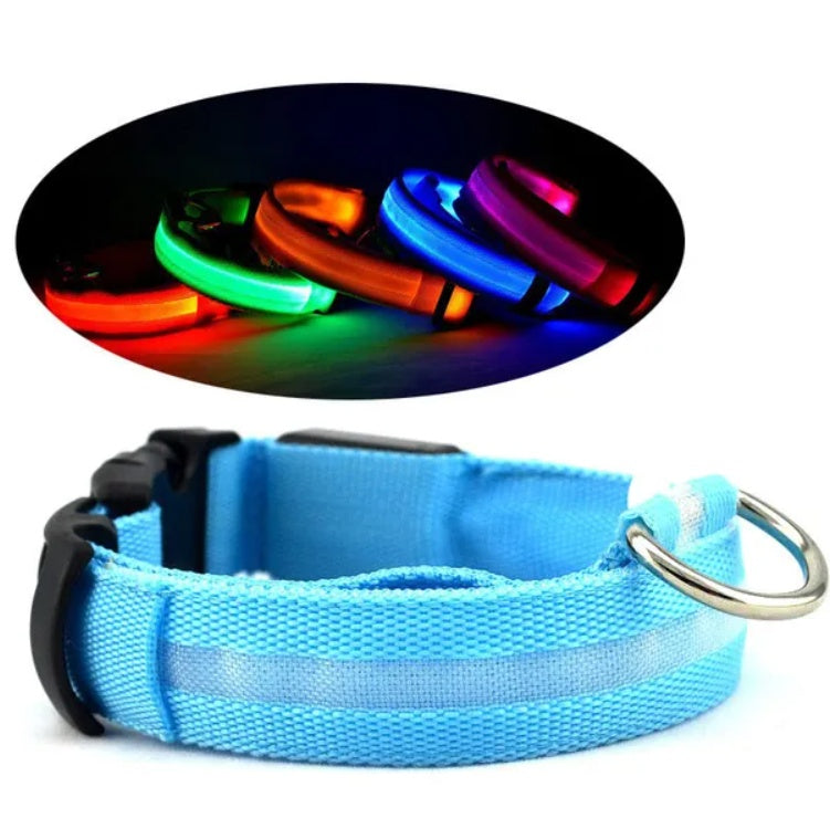 USB Rechargeable Glowing Dog Collar for Night Walking Safe LED Pet Collar