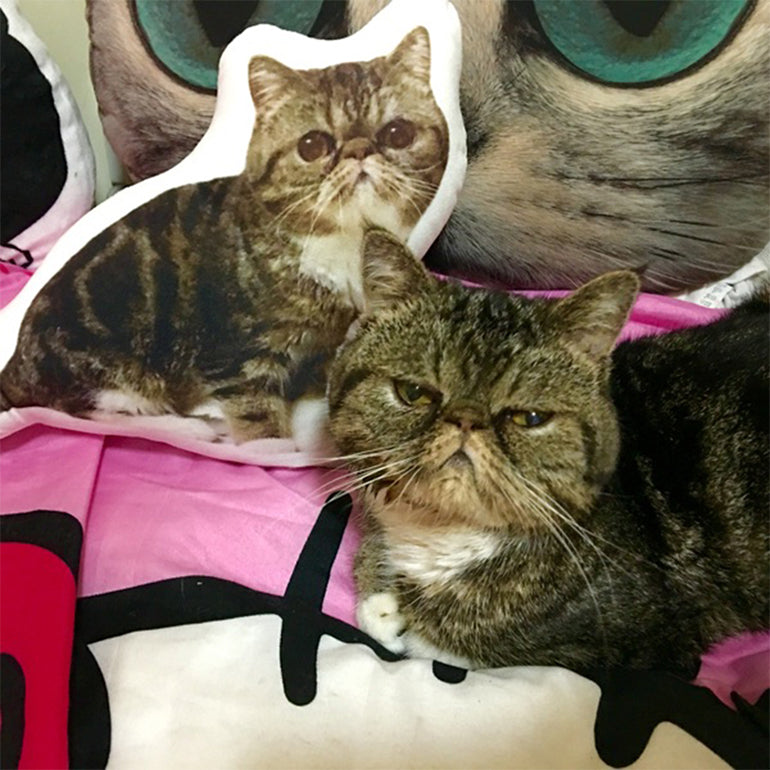 Custom Irregular Shape Pet Pillow – Personalized Soft Plush Cushion