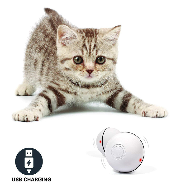 Interactive LED Laser Cat Toy Ball – Automatic Rolling Pet Entertainment