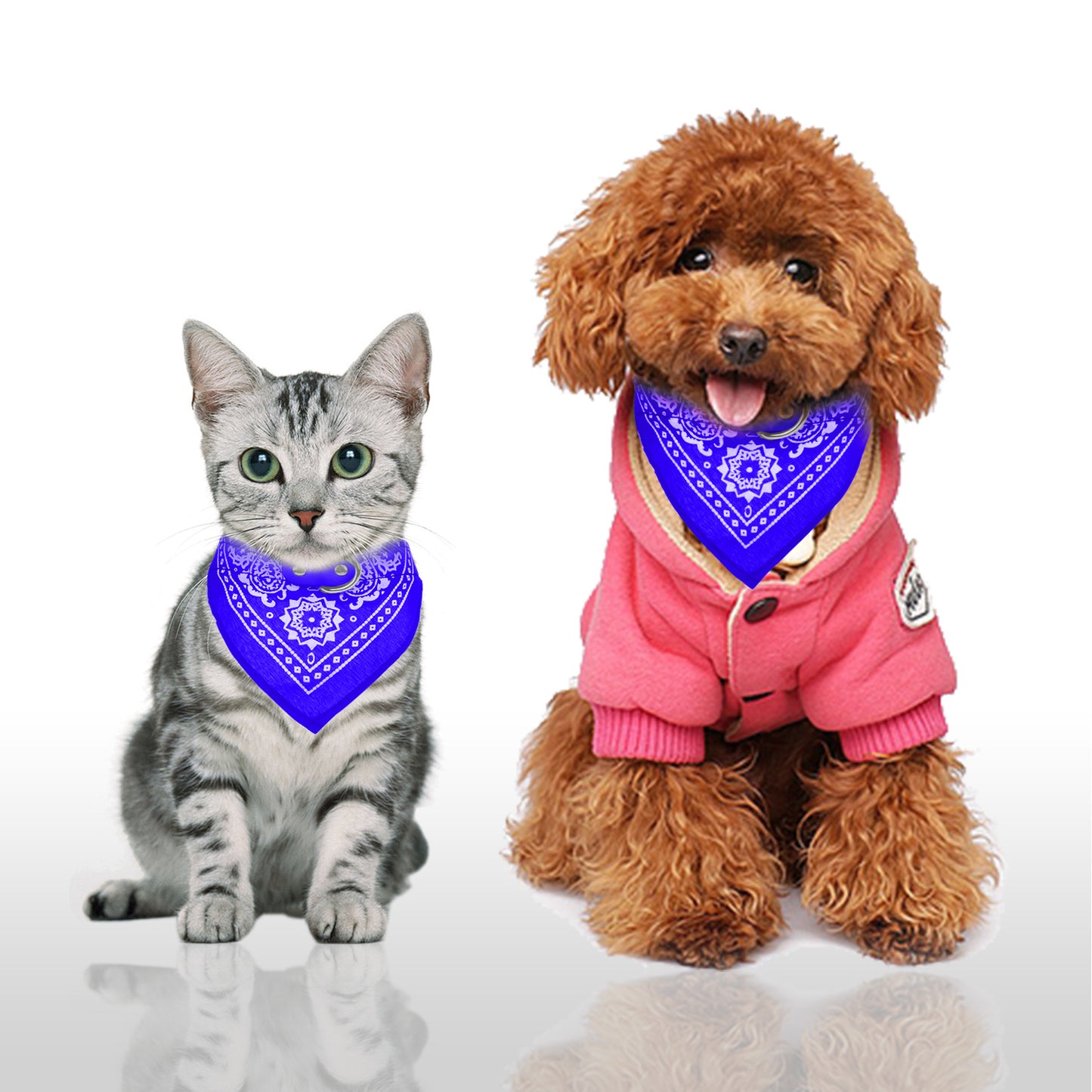 Adjustable Leather Pet Collar with Triangle Bandana – Stylish Dog & Cat Scarf