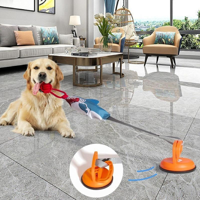 PROKEl Shark Chew & Squeak Pet Toy with Suction Cup