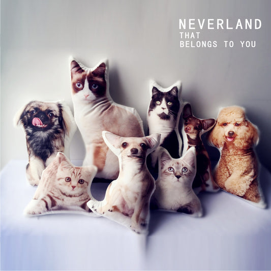Custom Irregular Shape Pet Pillow – Personalized Soft Plush Cushion