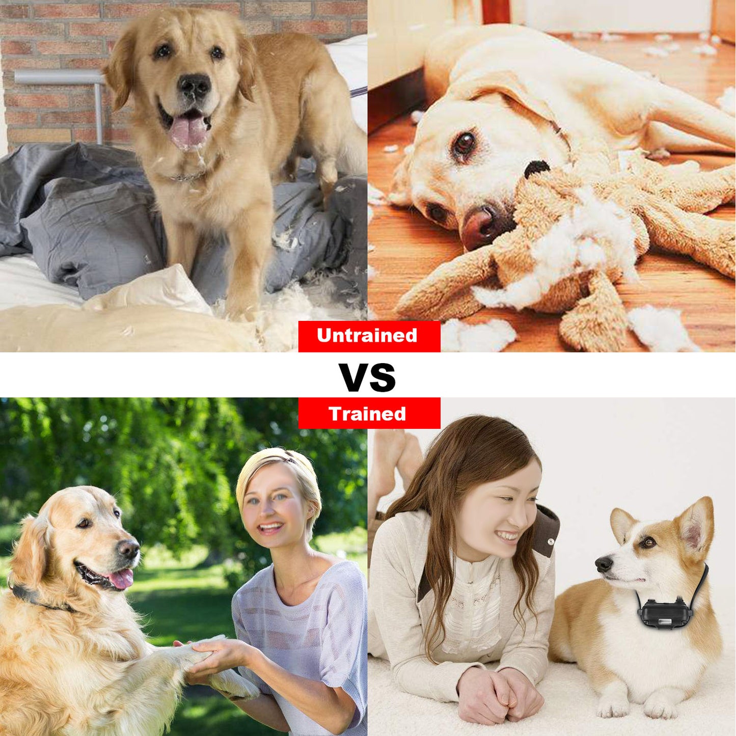 Remote Dog Training Collar IP67 Waterproof Rechargeable Pet Trainer 875 Yard Long Range 4 Modes Adjustable Levels 300mAh Battery