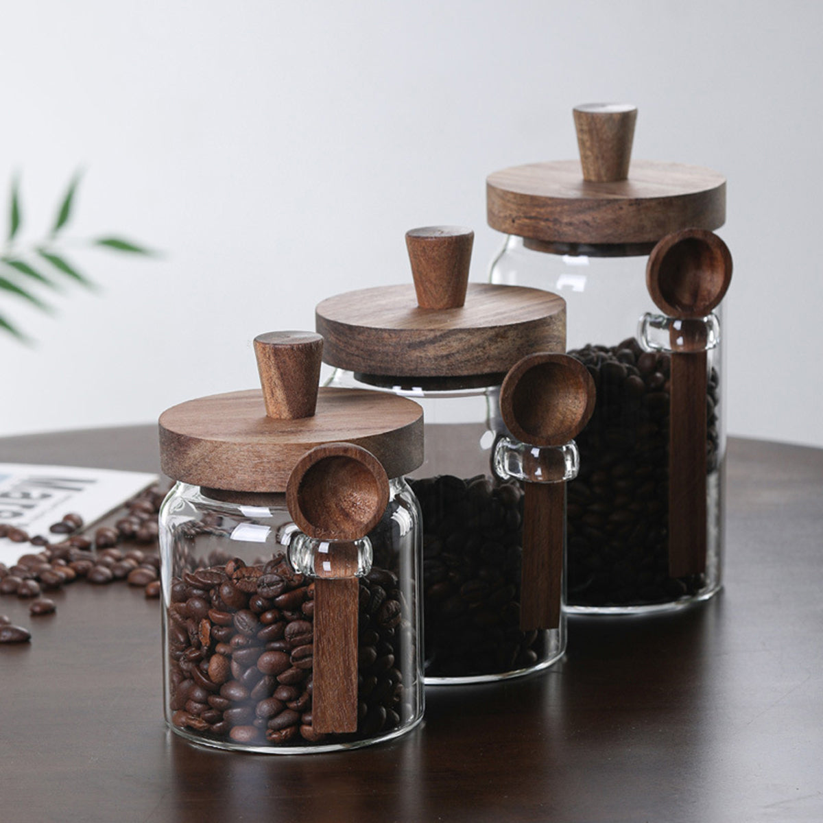 3PCS Glass Coffee Jars with Spoons – Tea, Candy & Biscuit Storage Containers Set