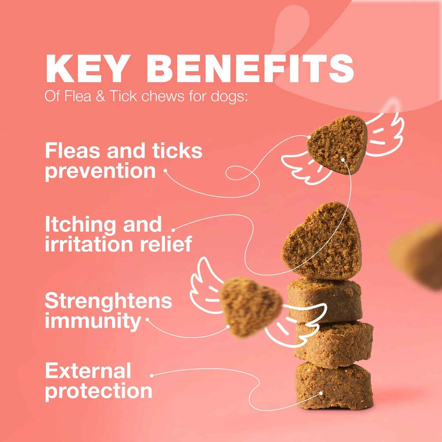 Natural Dog Supplement Soft Chews – Immune Support, Skin & Coat Health, Daily Wellness Treats for Dogs of All Sizes