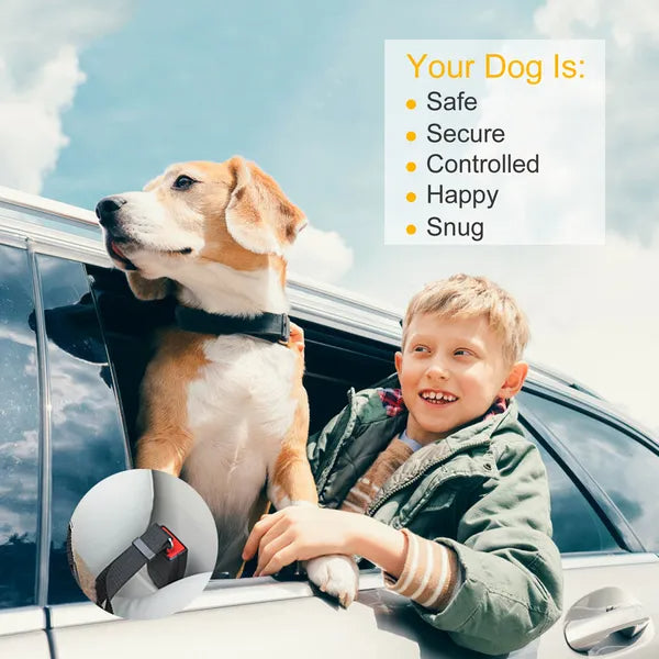 "2-Pack Adjustable Dog & Cat Seat Belt Harness – Safety Leash for Car Travel"