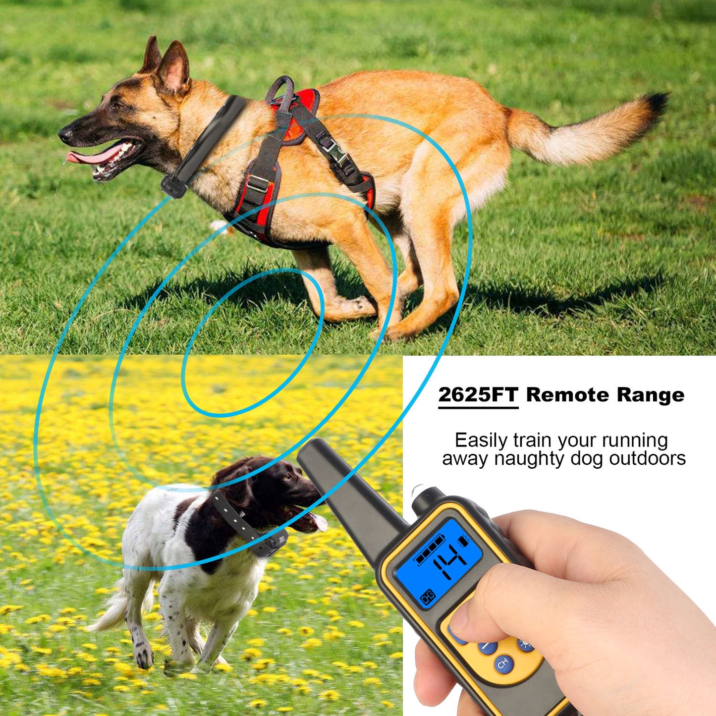 Remote Dog Training Collar IP67 Waterproof Rechargeable Pet Trainer 875 Yard Long Range 4 Modes Adjustable Levels 300mAh Battery