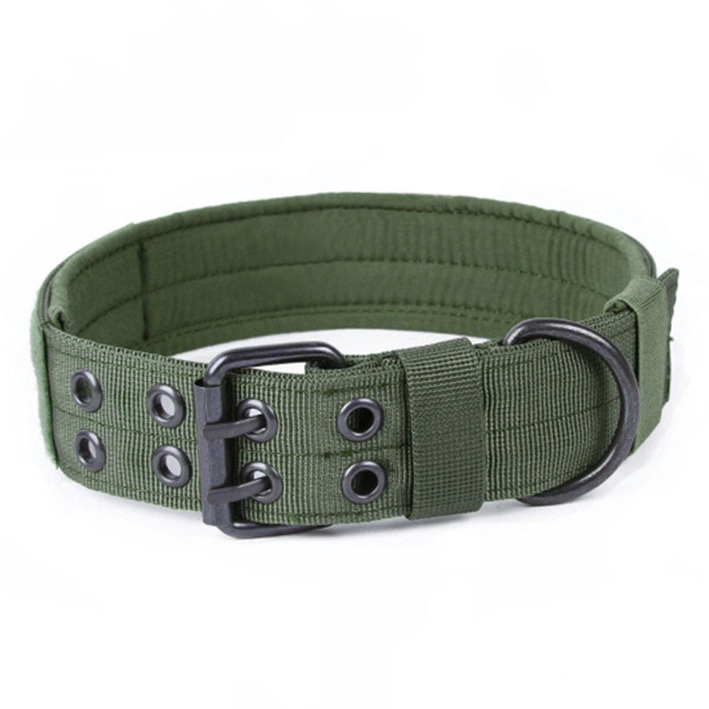 Anti-Chew Nylon Dog Leash & Collar – Durable Bite-Resistant Design