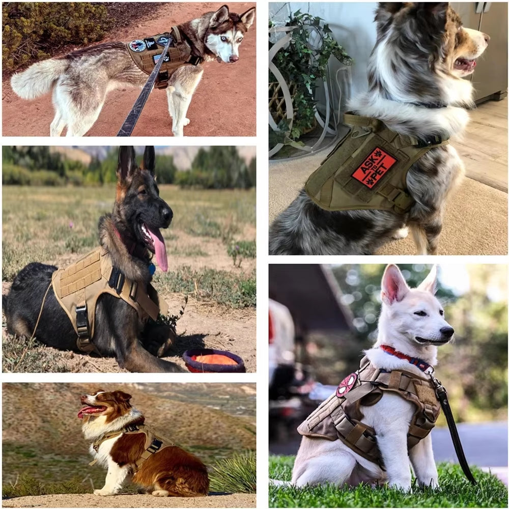 Luxury Camouflage Dog Harness & Leash Set – Adjustable Nylon Chest Vest for Small & Medium Dogs