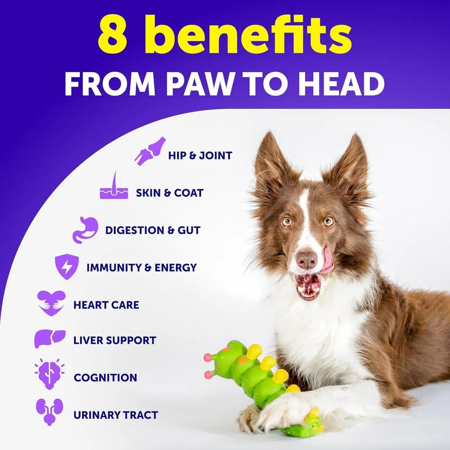 20-in-1 Dog Multivitamin Chews – Joint, Immunity & Health Support for Puppies & Seniors (120 Chews)