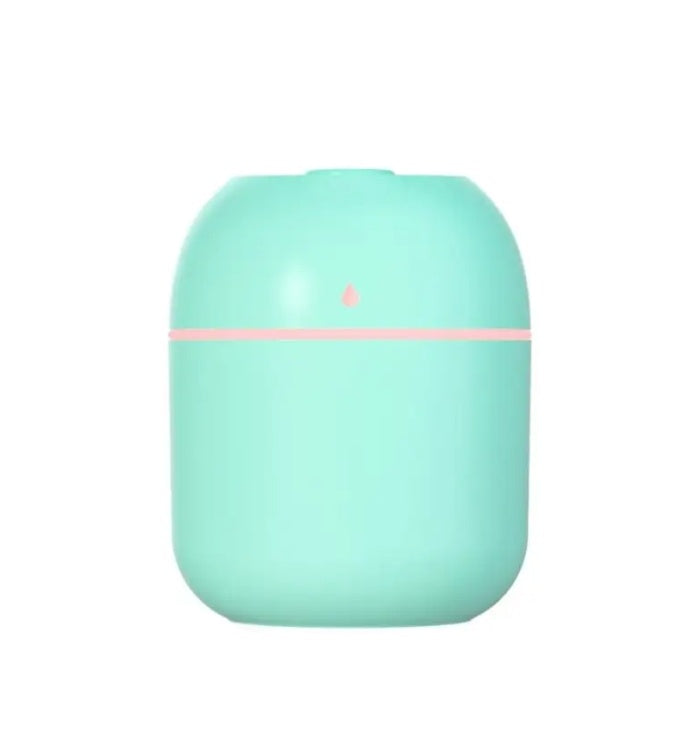 Portable Mini Cool Mist Humidifier 220ml USB Desktop