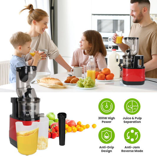 300W Cold Press Slow Juicer Machine With Reverse Function & 2 Containers