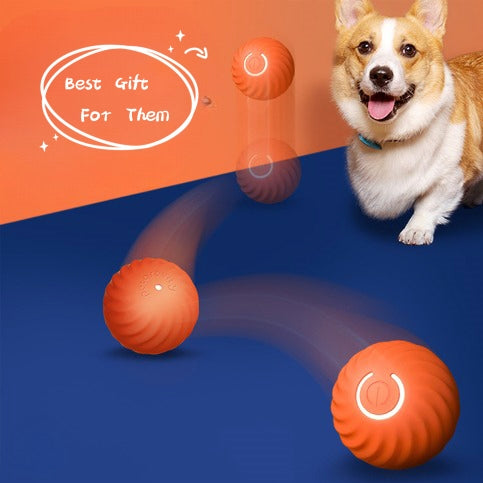 Durable Chew Ball Toy for Dogs & Puppies
