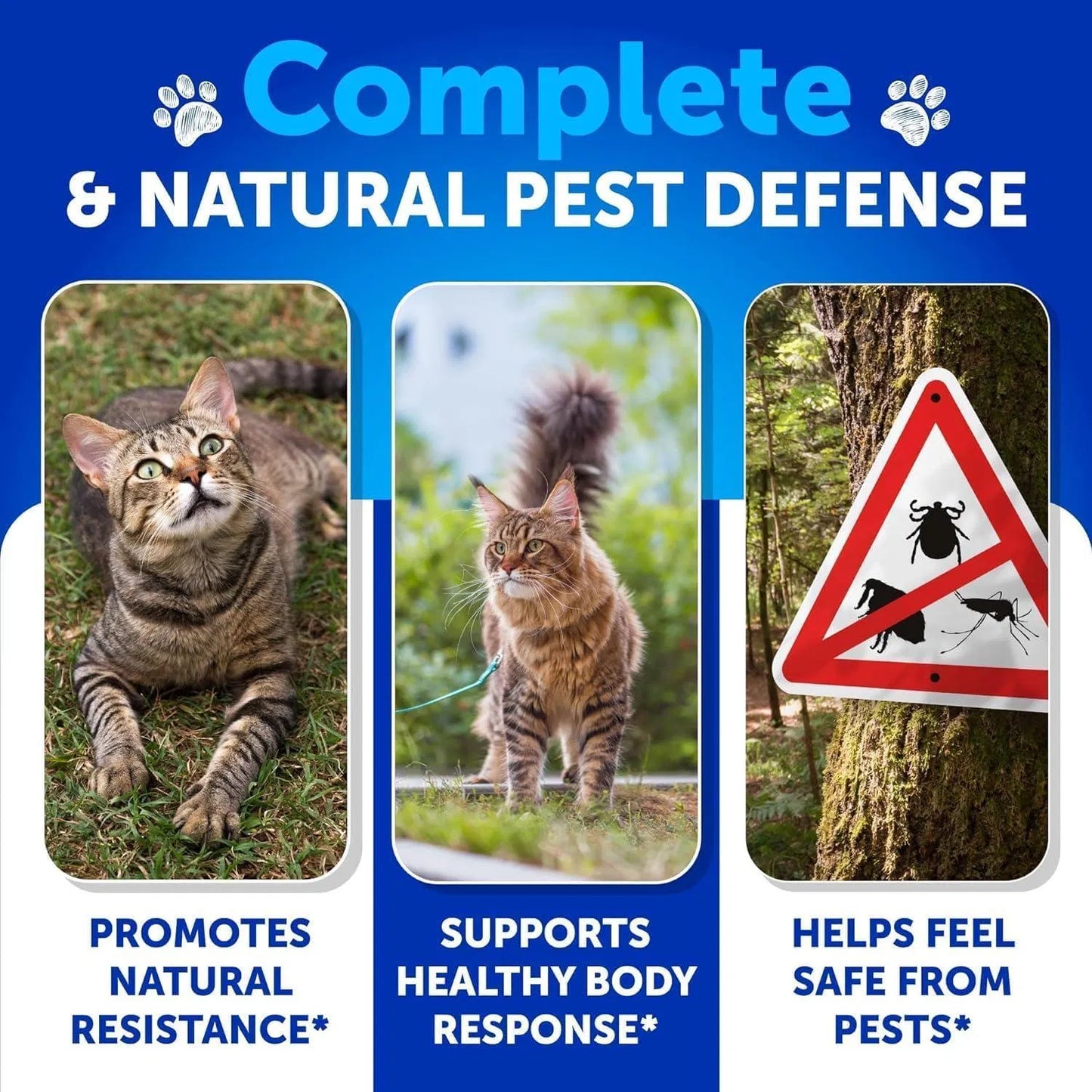 Natural Flea & Tick Supplement for Cats & Kittens Daily Chewable Soft Treats with Vitamins – 135 Chews