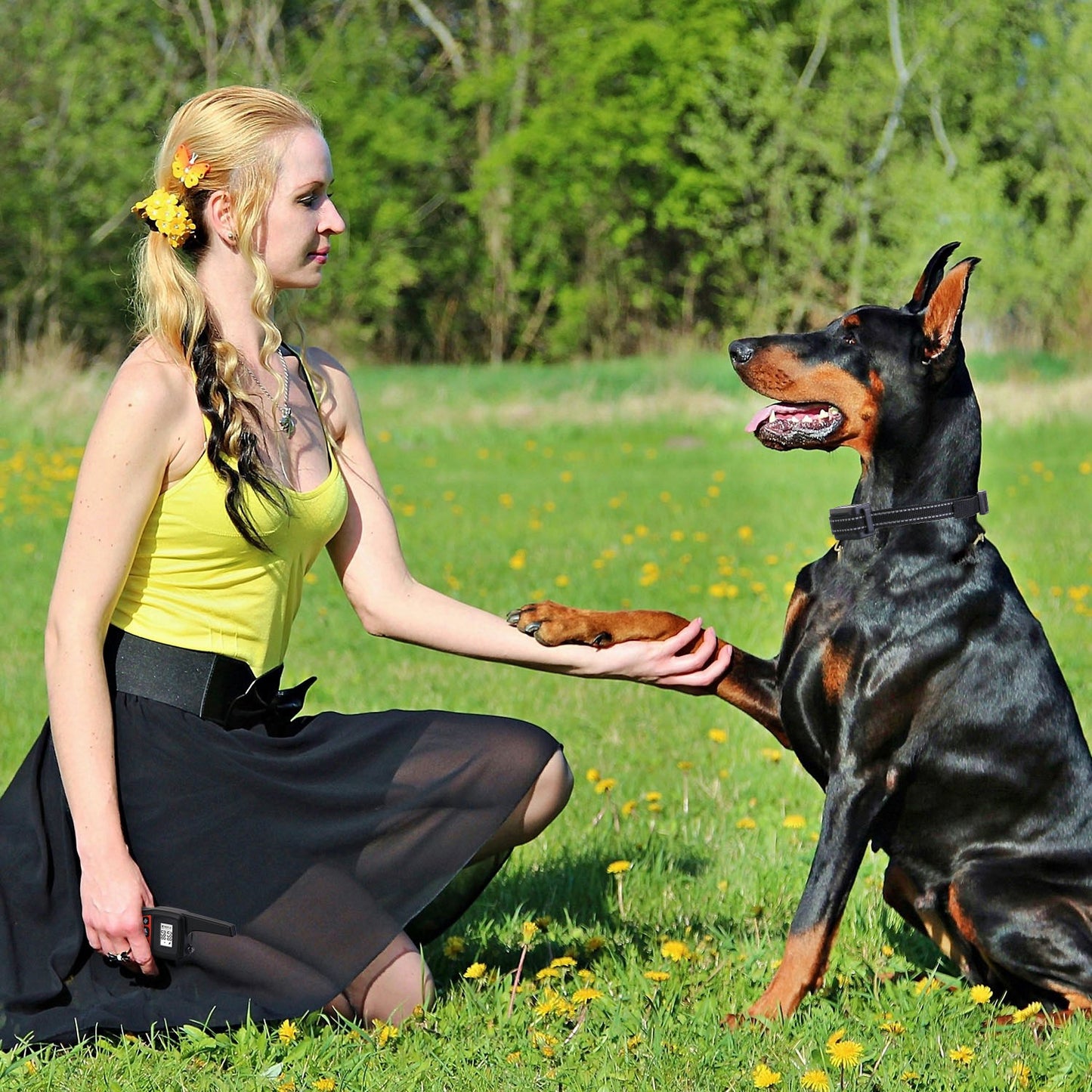 3280FT Dog Training Collar IP67 Waterproof Rechargeable Pet Trainer Beep, Vibration & Shock 3 Channels with Flashlight – Collar or Receiver Only