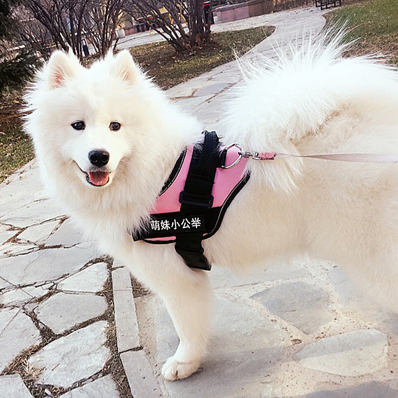 Fashion Pet Leash & Chest Harness Set – Adjustable Dog Walking Gear