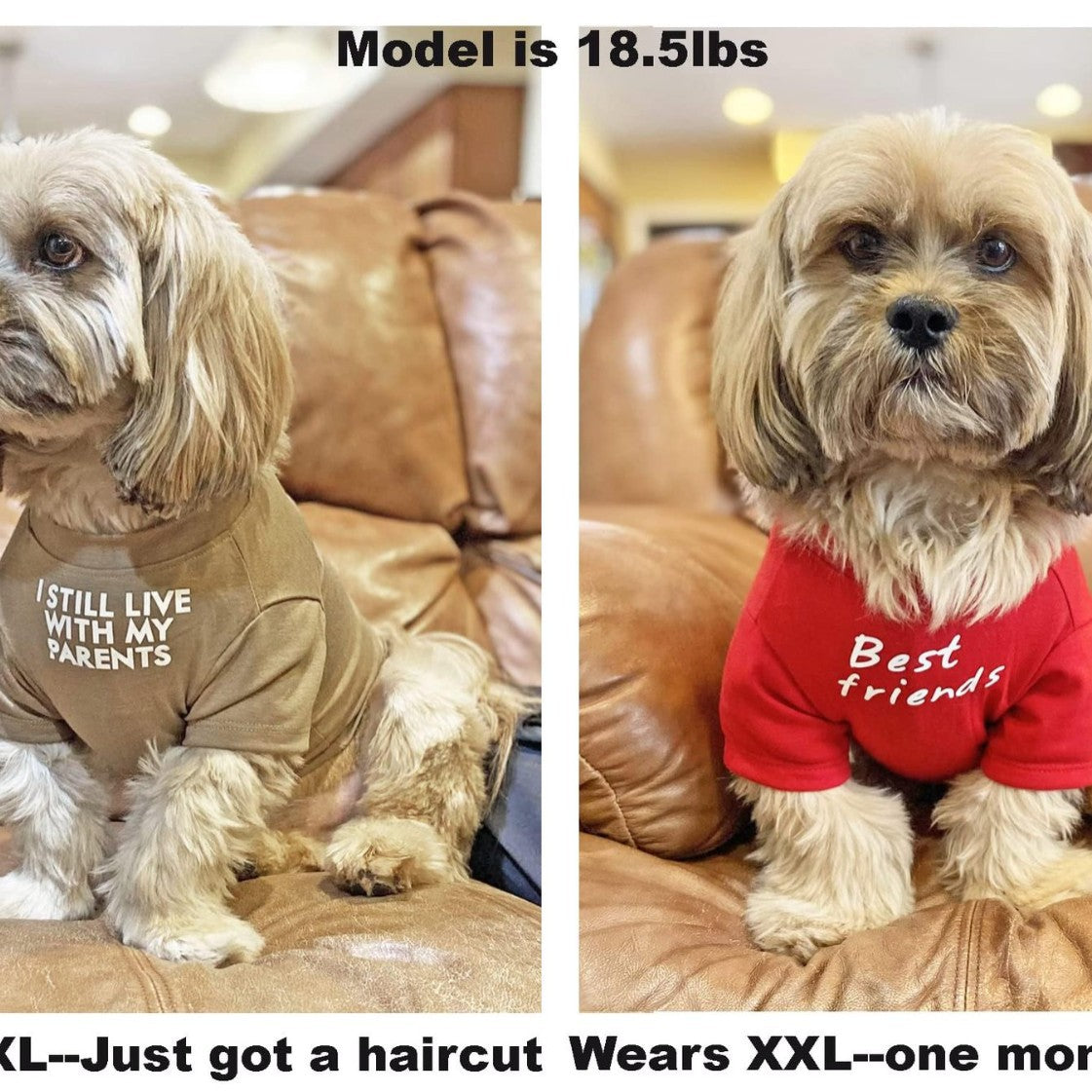 Pet T-Shirt – Round Neck Casual Tee for Dogs & Cats