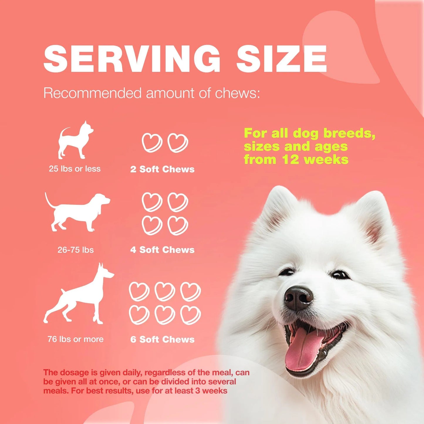 Natural Dog Supplement Soft Chews – Immune Support, Skin & Coat Health, Daily Wellness Treats for Dogs of All Sizes