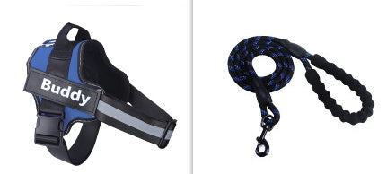 Fashion Pet Leash & Chest Harness Set – Adjustable Dog Walking Gear