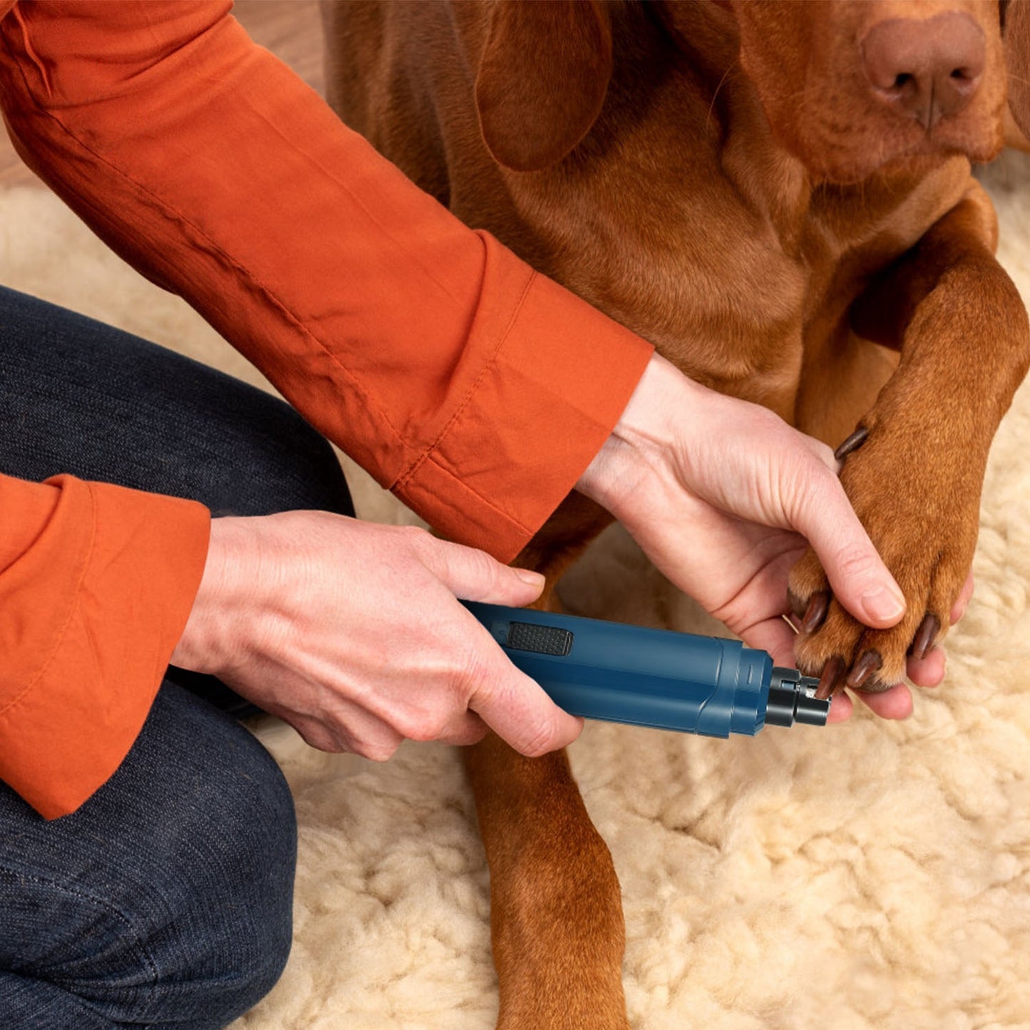Pet Nail Grinder – 2 Speeds USB Rechargeable for Dogs & Cats
