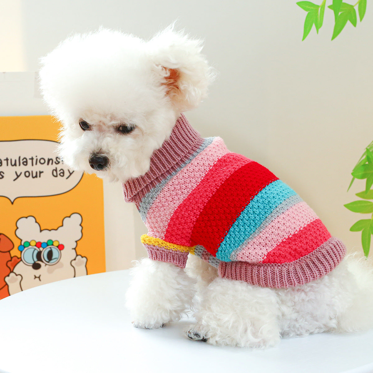 Colorful Striped Pet Sweater – Cozy & Comfortable Knit for Dogs & Cats