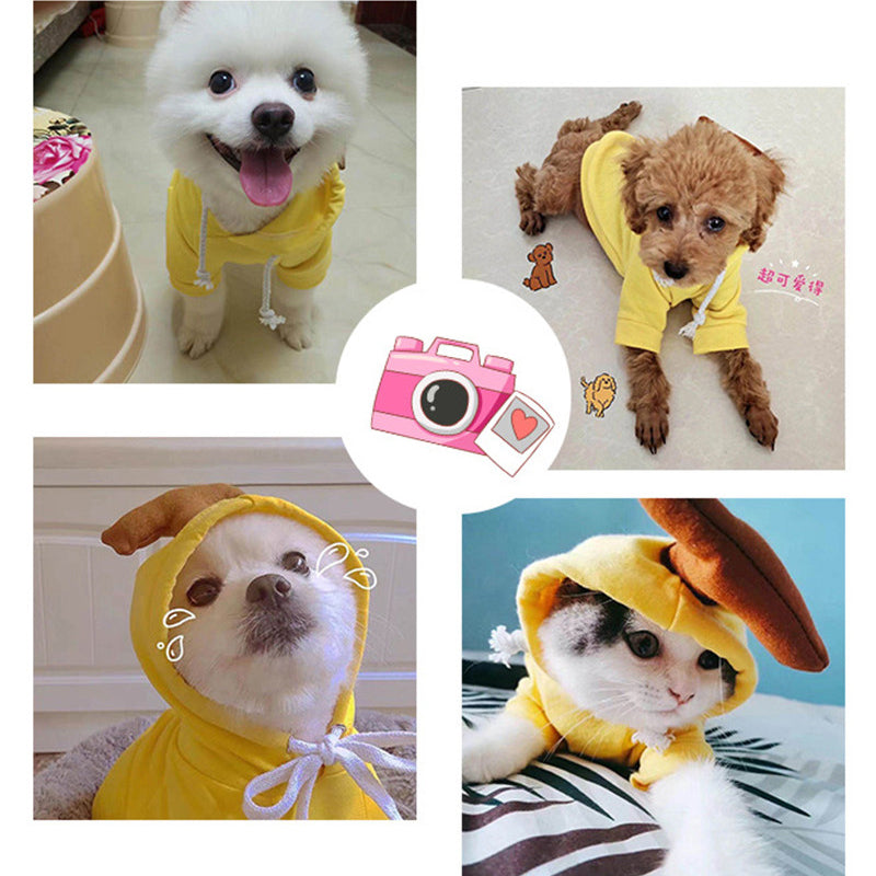 Cute Fruit-Themed Hoodie for Small Dogs – Warm Fleece Winter Coat for Puppies & Cats, Perfect for French Bulldogs & Chihuahuas