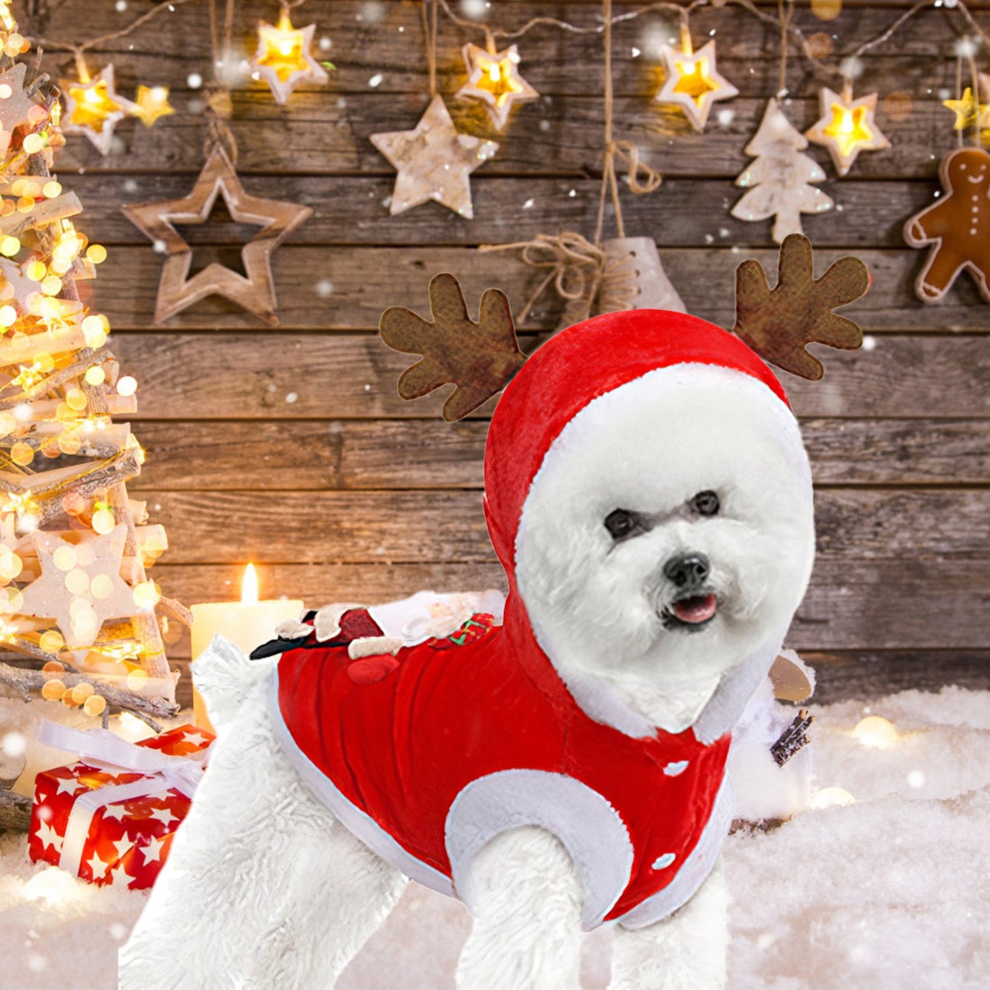 Pet Christmas Costume – Santa & Reindeer Winter Outfit for Small & Medium Dogs and Cats