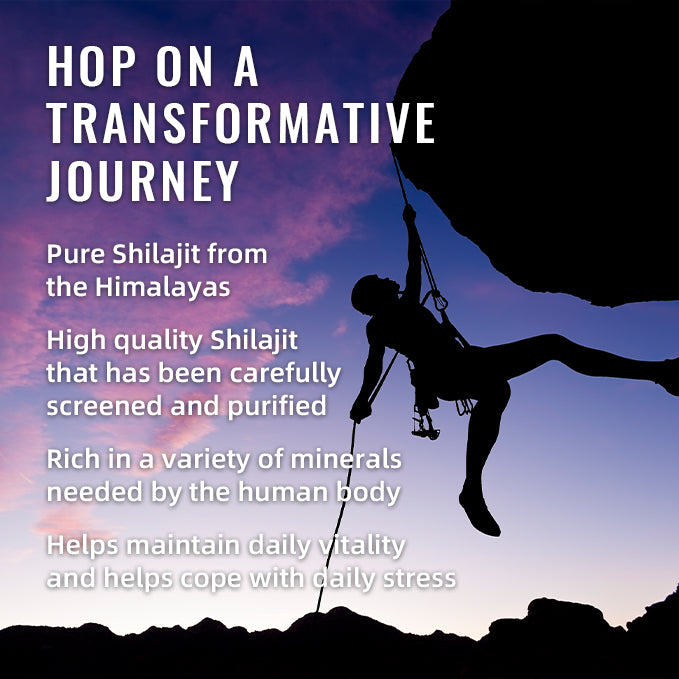 BSYS Shilajit Gummies 60’s – Natural Energy, Stamina & Vitality Support Supplement