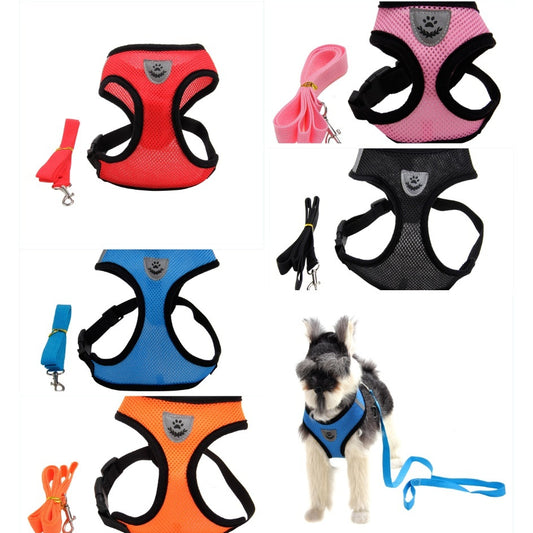 Luxury Multi-Color Dog Harness – Stylish & Comfortable Pet Gear