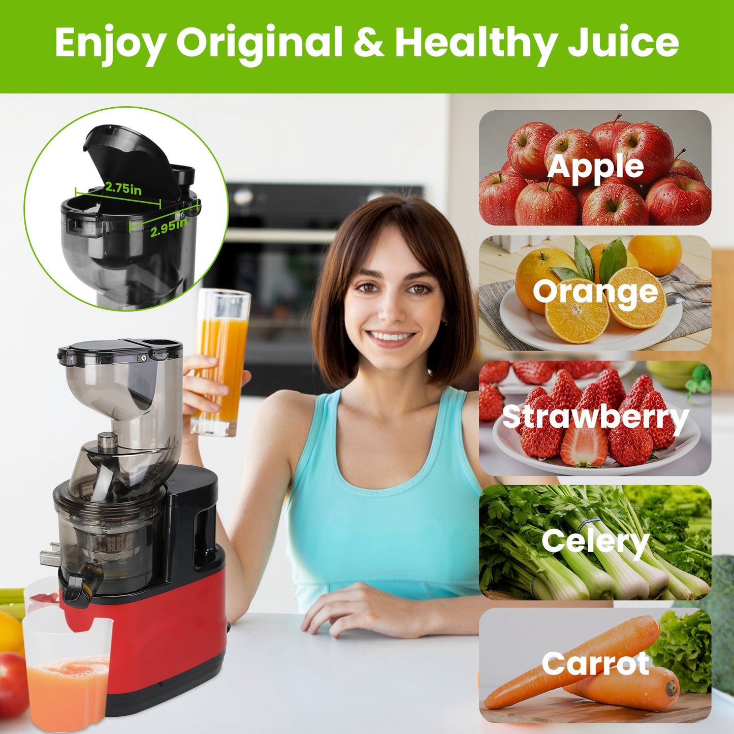 300W Cold Press Slow Juicer Machine With Reverse Function & 2 Containers